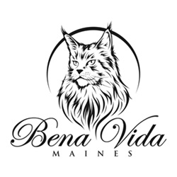 Bena Vida Maines photo