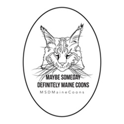 Maybe Someday Definitely Maine Coons photo