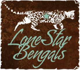 Lone Star Bengals photo